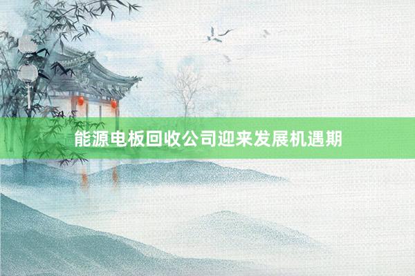 能源电板回收公司迎来发展机遇期