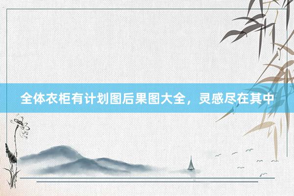全体衣柜有计划图后果图大全，灵感尽在其中