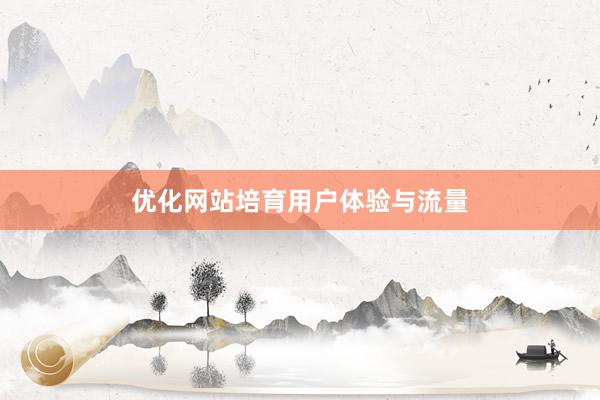 优化网站培育用户体验与流量