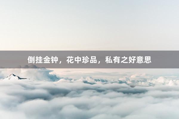倒挂金钟，花中珍品，私有之好意思
